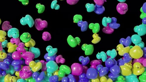 Animated Colorful Rubber Ducks Pouring and Revealing Transition