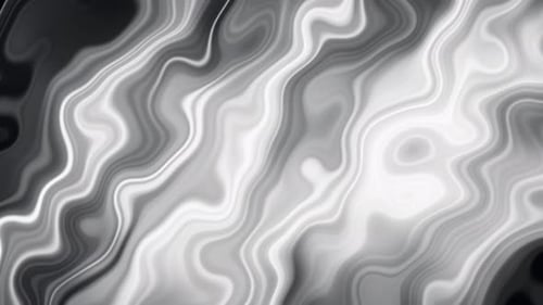 Fluid Black and White Abstract Wave Motion Background Loop