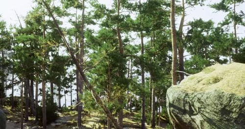 Lush Forest Landscape with Towering Trees and Rocky Outcrop Near Water