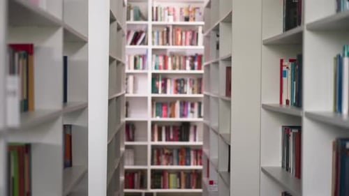Library Bookshelves with Books