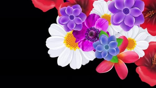 Vibrant Floral Transition Overlay Pack