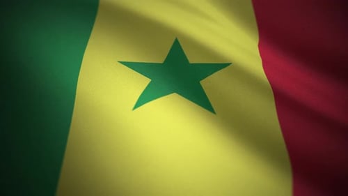 Senegal Flag Waving Realistic Seamless Loop