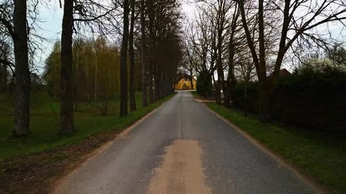 A Road Cuts Through a Forest with Trees on Both Sides