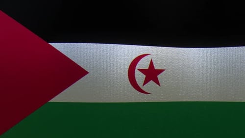 Realistic Waving Fabric Flag of Sahrawi Arab Democratic Republic