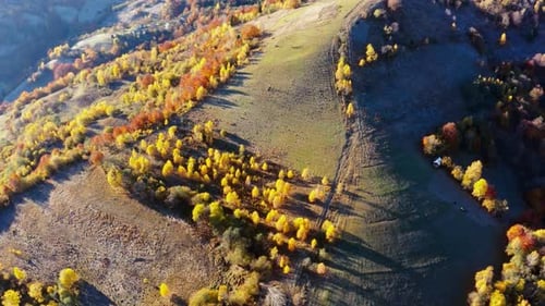 Hautes montagnes avec forêt jaunie sous un soleil radieux