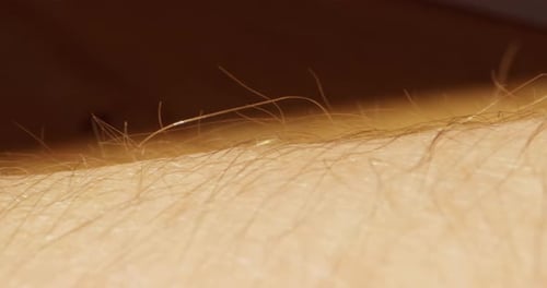 Extreme Closeup of Human Skin and Light Hair