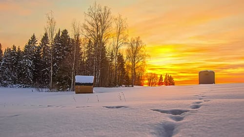 Traditional Barrel Sauna Made Of Thermowood Adjacent To Forest During Golden Hour With Dramatic Sky.