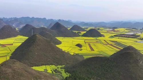 Vista cinematográfica e bonita dos campos agrícolas em Luoping, China