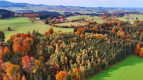 Spektakuläre Schönheit der Natur im Herbst. Wir nähern uns dem wunderschönen farbenfrohen Wald