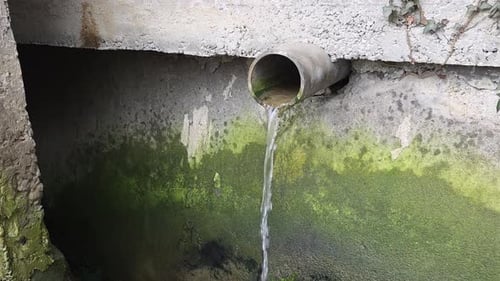 Água fluindo do tubo de drenagem para uma parede de concreto musgosa, gerenciamento de água da chuva e escoamento da calha