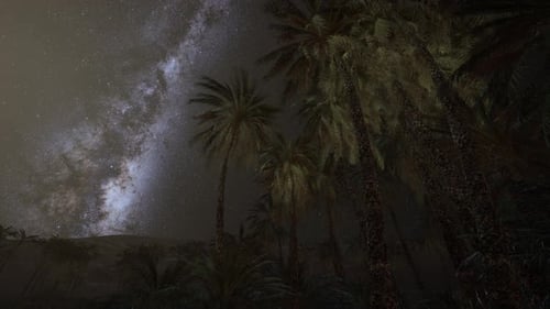 Milky Way Stars Above Desert Oasis Palm Trees at Night