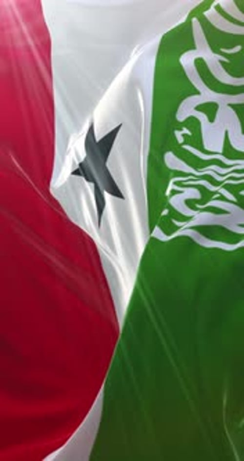 Realistic National Flag Waving with Black Star and Arabic Calligraphy