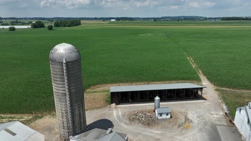 Rural farm scene in USA. Barns and silos beside agricultural fields of green crops. Farm buildings a
