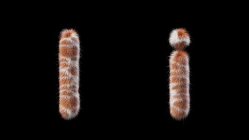 3D animation of a uppercase and lowercase Giraffe woolen letter I