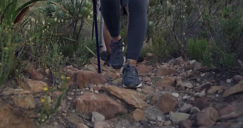 4k video footage of an unrecognisable group walking on a hiking trail
