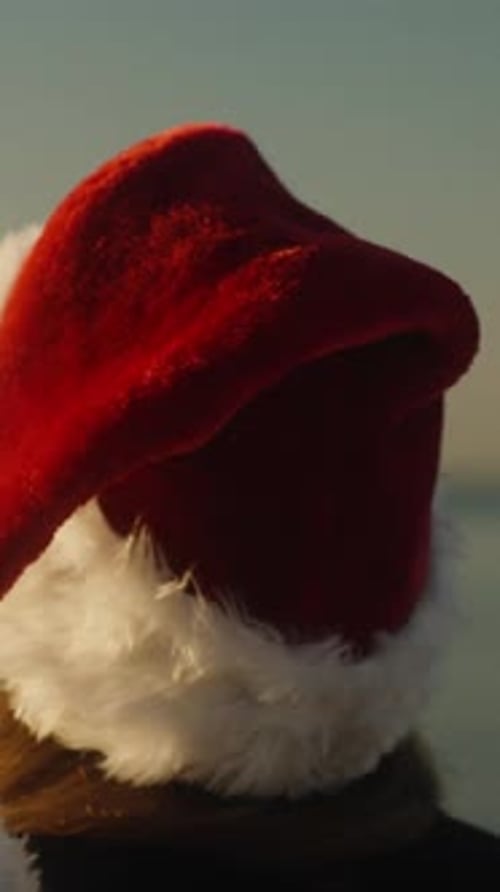 Vertical video. A young woman in a red Santa Claus hat is enjoying the New Year's sunrise by the sea