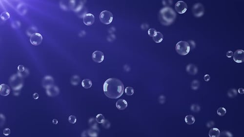 Abstract Different Soap Bubbles Water Bubbles Sun Light Beams Shining Green Screen