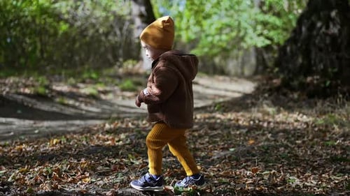 Cute Caucasian baby walks by the dry leaves in the park. Kid on the walk in autumn on good weather.
