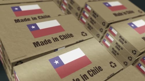 Made in Chile box pack production loopable seamless