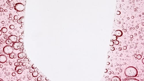 Rising Red Bubbles on White Background
