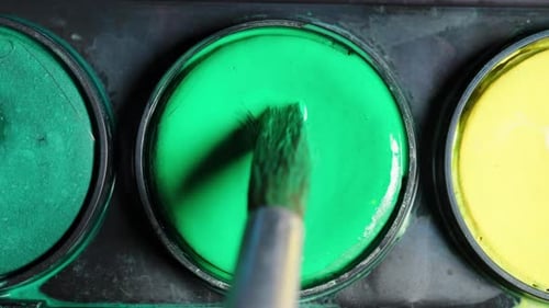 Watercolor paints palette of colors, green is applied to the brush.