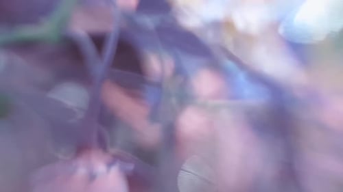 Bokeh Lights Pattern Abstract Background