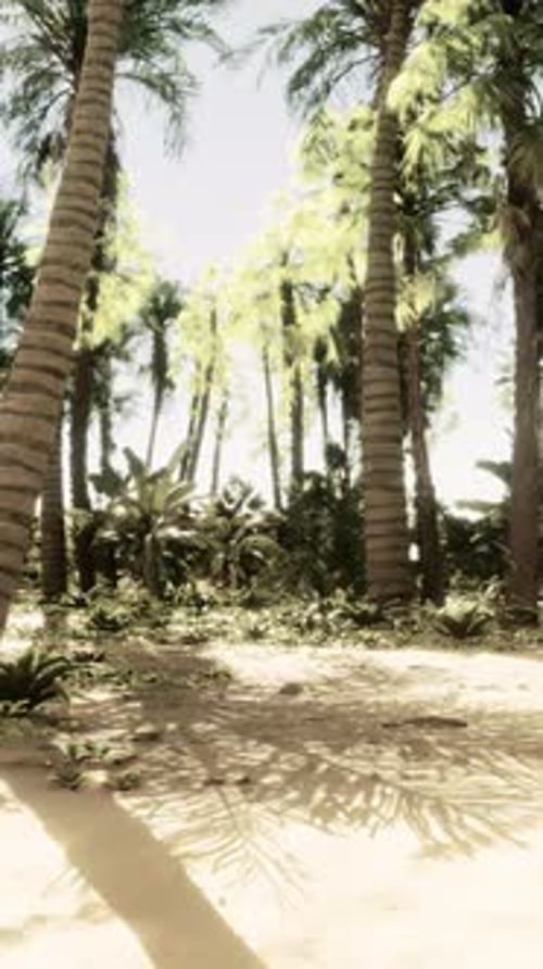 A Sandy Area with Palm Trees and the Ocean in the Background
