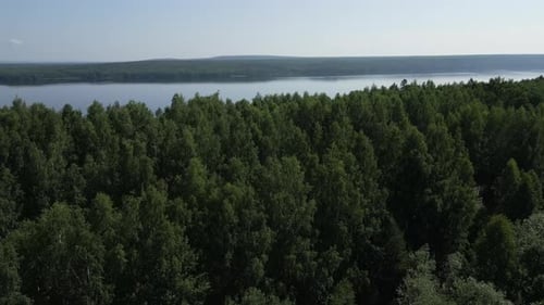 Uma paisagem serena com uma floresta exuberante ao lado de um lindo e tranquilo lago Clip