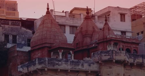 Varanasi Uttar Pradesh India Monkeys