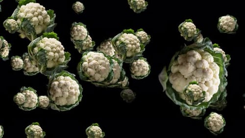 Cauliflower Flying And Moving Forward To The Camera. Closeup View Of Lots Of Cauliflower Moving And