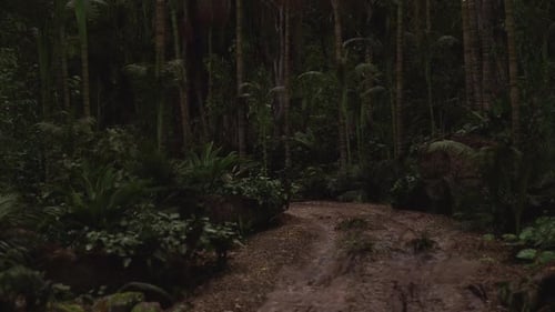 Lush Tropical Jungle Path Winding Through Dense Vegetation at Dusk