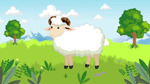 Sheep Cartoon in The Green Field