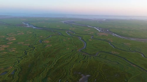 Aerial drone view of wetland, Verdronken Land van Saeftinghe, The Netherlands