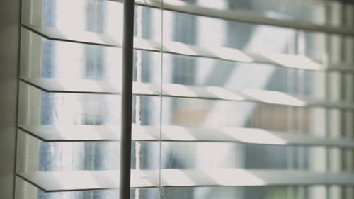 Sunlight Streaming Through White Window Blinds