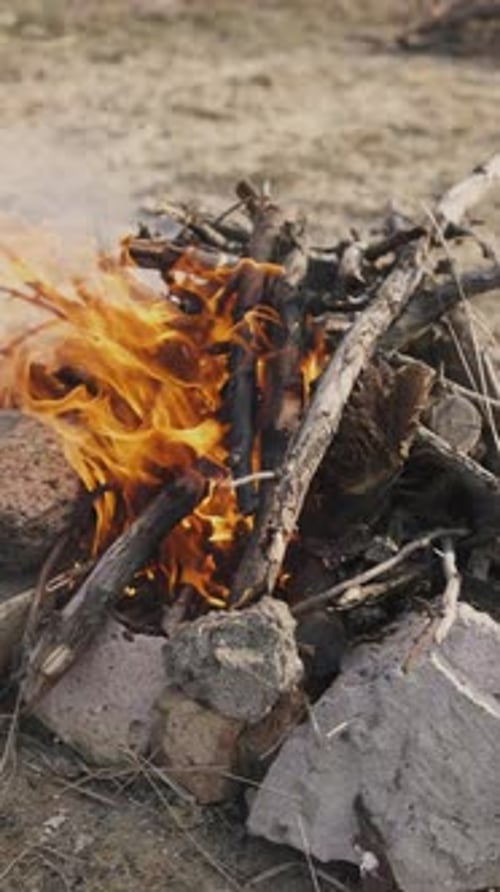 Burn Fire with Wood on Beach or Mountain Camp Closeup Slow Motion Shot at Day