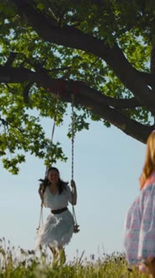 Vertical of Mom Swings on a Swing While Her Daughter Walks in a Green Meadow