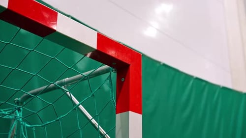 close-up soccer player hits the ball and hits the goal on the soccer field game competition match
