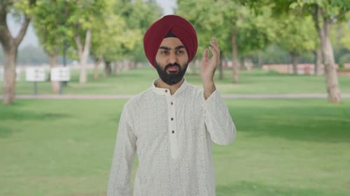 Frustrated Sikh Indian man flying a mosquito in park