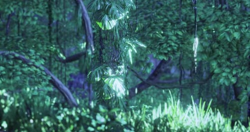 Vibrant Green Forest with Soft Morning Light and Lush Foliage