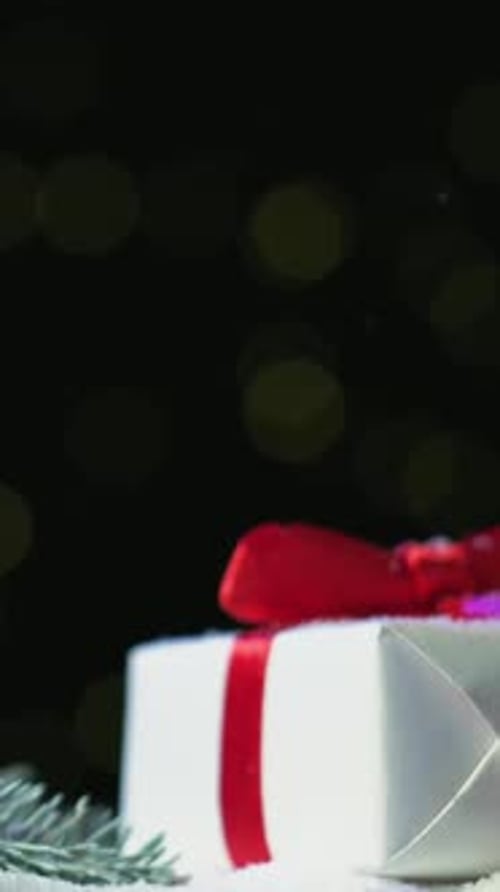 Vertical Christmas Holiday Festive Gift Box Pine