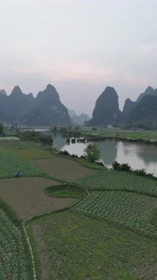 Vue aérienne des terres agricoles et des montagnes du Vietnam, verticale