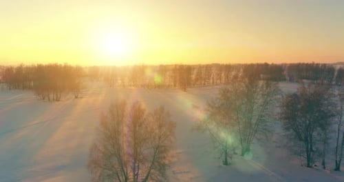 Aerial Drone View of Cold Winter Landscape with Arctic Field Trees Covered with Frost Snow and