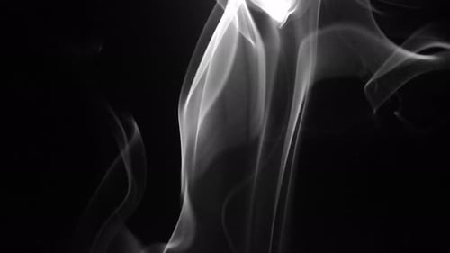 Abstract White Smoke Swirls on Black Background