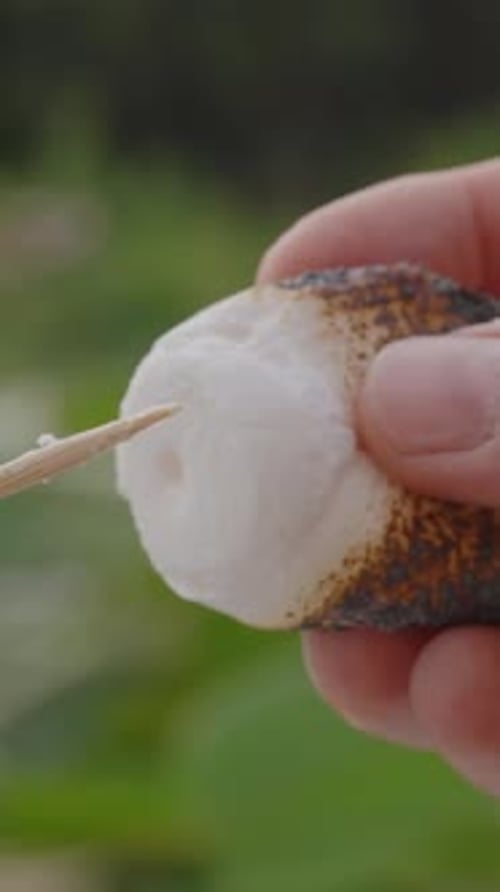 Person Holding Toasted Marshmallow on Stick Outdoors