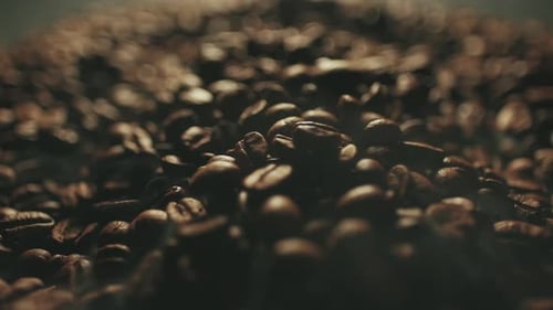Steaming Roasted Coffee Beans Close Up
