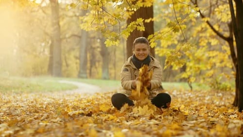 The Girl Has Fun Collecting Fallen Autumn Leaves and Throwing Them Up