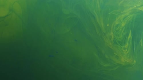 Abstract Fluid Art in Green and Yellow