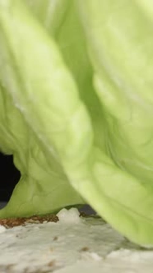 I'm making a sandwich. I put a lettuce leaf on the bread. Dolly slider extreme close-up inside. Laow