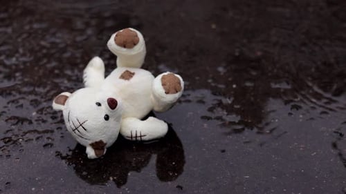 Lost teddy bear abandoned in the rainy street