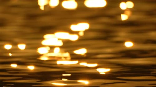 Water Reflections Sunlight Golden Hour Close Up Photo of Sunlight Reflecting on the Surface of